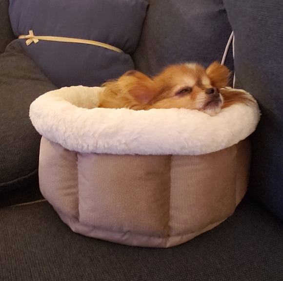jidge